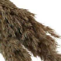 Artikel Pampas gräs torkat dekorativt torrt gräs natur 95cm 3 st