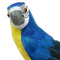 Dekorativ papegoja blå 44cm