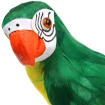 Dekorativ papegoja grön 44cm