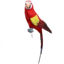 Dekorativ papegoja röd 44cm