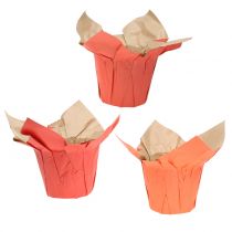 Pappersplanter plantor orange / röd Ø10cm 12st
