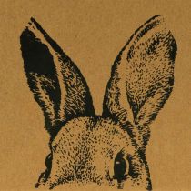 Artikel Presentpåse Påskpapperspåse kaninbrun 16×6,5×20cm 6st