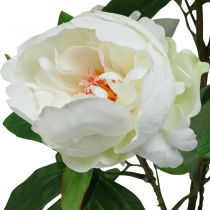 Konstgjord Paeonia, pion i kruka, dekorativ växt vita blommor H57cm