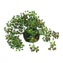 Pärlsträng konstgjord mossa boll konstgjorda växter grön 38cm