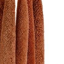 Artikel Pearl Hirs Dekorativa vassar Babala Hirs Brun 70cm 10 st