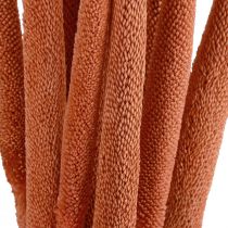 Artikel Pärlhirs vass Babala hirs apelsin 70cm 10 st