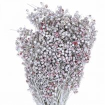 Pepparbär täckta med snö, vinterdekorationer, torkade blommor, advent, rosa paprika vittvättad 170g