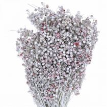 Artikel Snöade pepparbär, vinterdekoration, torkade blommor, advent, rosa paprika tvättad vit 170g