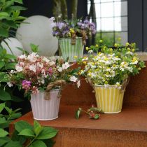 Hink för plantering, plantering med handtag, metalldekor rosa/grön/gul shabby chic Ø16,5 cm H15 cm set om 3