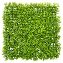Artikel Konstgjord buxbomsplanta 55x55 cm för dekorativ väggdekoration