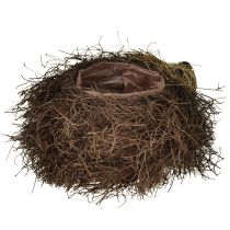 Artikel Igelkottplanter gjord av vinrankor 22 cm x 25 cm