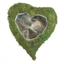 Växthjärta mossgrön växtskål hjärta 20x20x5,5cm