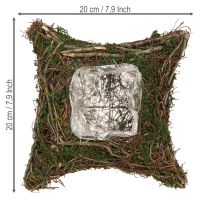 Artikel Växtkudde vinrankor mossa växtskål naturlig 20×20×6,5 cm