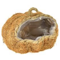 Artikel Växtkorg pumpa höstdekoration orange Ø22cm H17cm