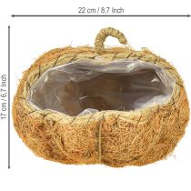 Artikel Växtkorg pumpa höstdekoration orange Ø22cm H17cm