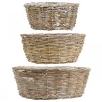 Artikel Set med 3 korgar i rotting, planteringskärl, dekorativa korgar, vitkalkade vintagestil, Ø21,5/26/31 cm för hem och trädgård
