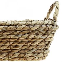 Växtkorg sjögräskorg med handtag oval dekoration 23×13×9cm