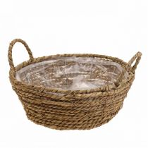 Växtkorg rund sjögräskorg med handtag dekorativ korg Ø25cm H9cm