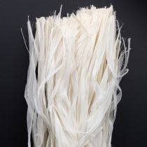 Artikel Skelettband av växtbaserade naturfibrer, naturlig banddekoration 180g
