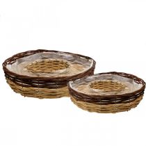 Växtring av pil, växtskål Ø35/30cm set om 2