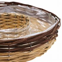 Växtring av pil, växtskål Ø35/30cm set om 2
