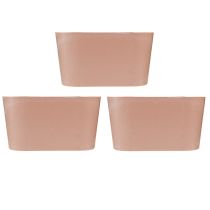 Artikel Växtskål oval dekorationsskål plast rosa brun 20×10×11cm 3st