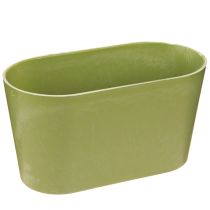 Artikel Växtskål oval grön skål plast 20×10×11cm 3st