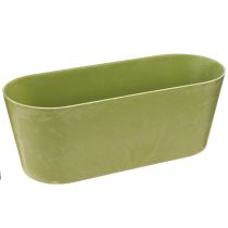 Artikel Växtskål oval grön skål plast 27×11×10cm 3st