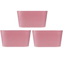 Artikel Växtskål oval rosa dekorationsskål plast 20×10×11cm 3st