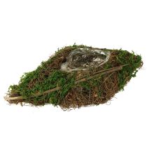 Artikel Plantering av båtrankor och mossplanteringsskål 31×17×6 cm