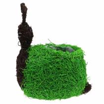 Artikel Planterare Snigel Vine Naturlig, Grön 21x14cm H26cm