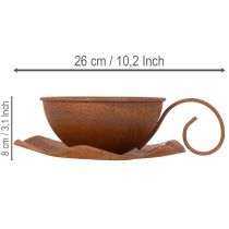 Artikel Planteringskopp med fat, kruka, rostfri yta, Ø19,5 cm, H8 cm