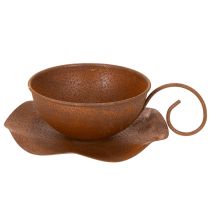 Artikel Planteringskopp med fat, kruka, rostfri yta, Ø19,5 cm, H8 cm