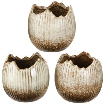 Artikel Plantkruka Keramik Ägg Broken Cream Brun Ø9,5cm 3 St
