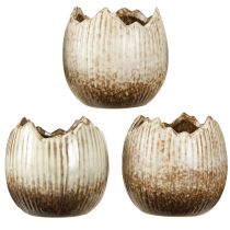 Artikel Plantkruka Keramik Ägg Broken Cream Brun Ø9,5cm 3 St