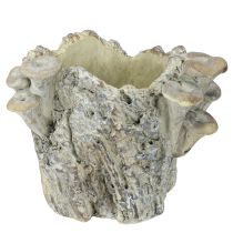 Artikel Blomkruka gjuten sten med svamp, trädstubbe 16 cm