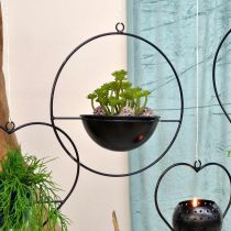 Artikel Plantkruka för upphängning av svart metallring Ø38cm med skål Ø15cm