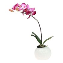 Konstgjorda orkidéer i kruka Phalaenopsis konstgjorda blommor orkidéer rosa 34cm