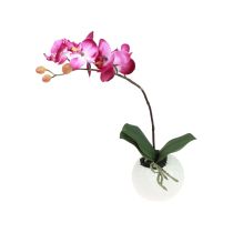 Artikel Konstgjorda orkidéer i kruka Phalaenopsis konstgjorda blommor orkidéer rosa 34cm