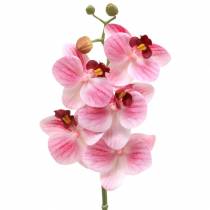 Konstgjord orkidégren Phaelaenopsis rosa H49cm