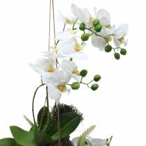 Orkidé med ormbunke och mossa boll konstgjord vit hängande 64cm