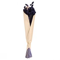 Artikel Phalaris violett torkat dekorativt gräs 50-55cm 100g