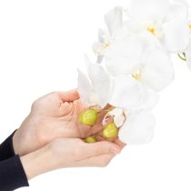 Artikel Konstgjord orkidéväxt, bedrägligt realistisk, för kontors- och vardagsrumsdekoration, 62 cm
