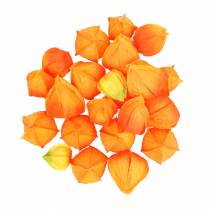 Artikel Physalis Orange Assorted 22st dekorativa konstgjorda blomblomsblommor