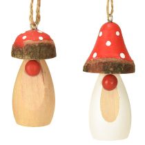Artikel Svamp för upphängning av trä vit, brun assorterad 6,5/8cm 8 st