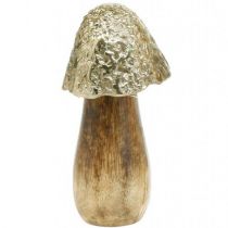 Dekorativ svamp metall trä gyllene, naturlig dekorativ display 13,5 cm