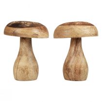 Artikel Träsvampar dekorativa svampar trä naturlig höstdekoration Ø10cm H12cm 2st