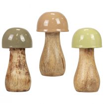 Artikel Träsvampar dekorativa svampar träbeige, grön Ø5cm H10,5cm 6st