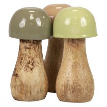 Artikel Träsvampar dekorativa svampar träbeige, grön Ø5cm H10,5cm 6st