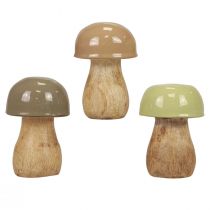 Artikel Träsvampar dekorativa svampar träbeige, grön Ø5cm 7,5cm 12st